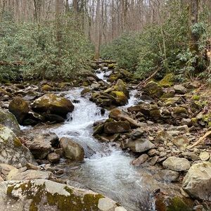 Meet your Posher, Vonya